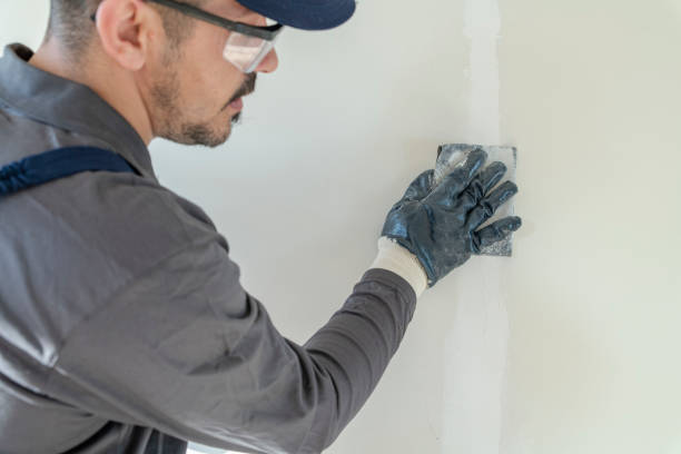 Professional Mold Removal in Scarsdale, NY