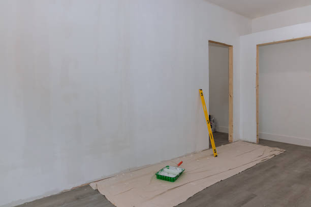 Best Mold Odor Removal Services  in Scarsdale, NY