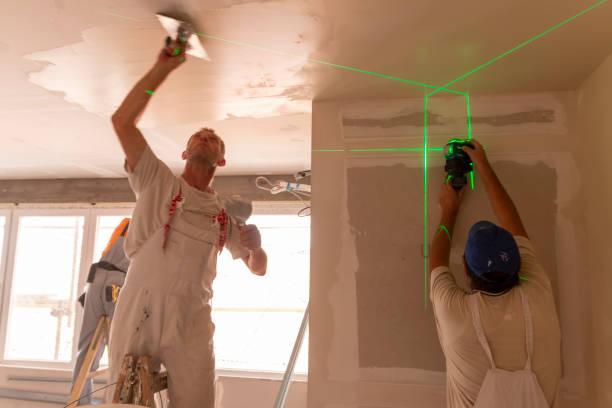 Best Mold Remediation for Rental Properties  in Scarsdale, NY