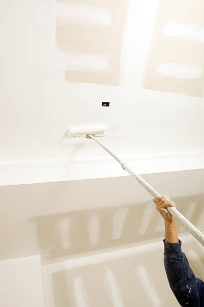Best Mold Removal for HVAC Installations  in Scarsdale, NY