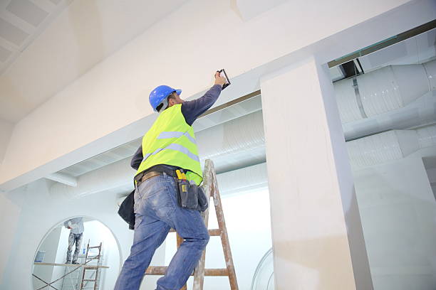 Best Mold Documentation for Insurance Claims  in Scarsdale, NY